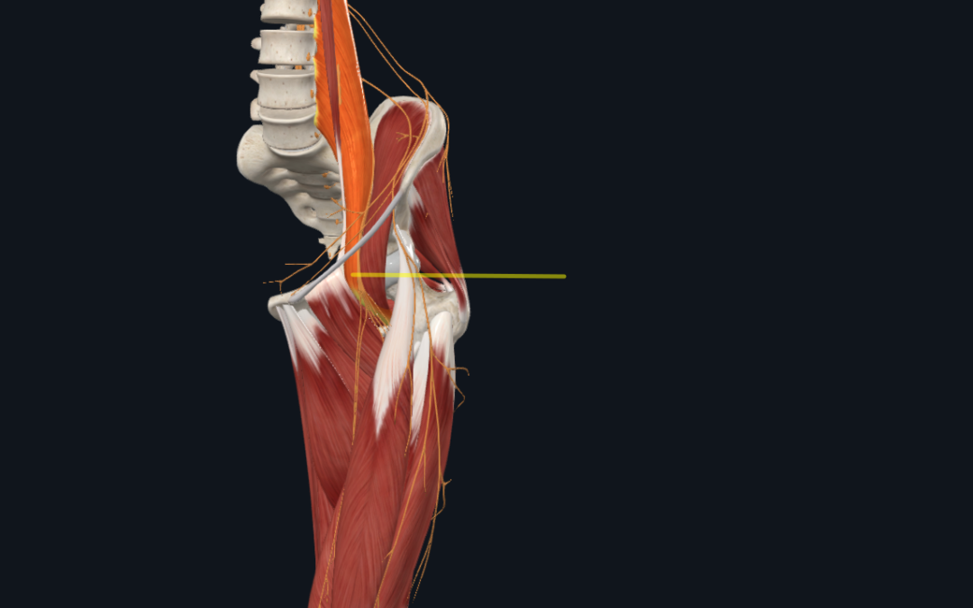 Electro-Acupuncture for PSOAS Release in Sydney